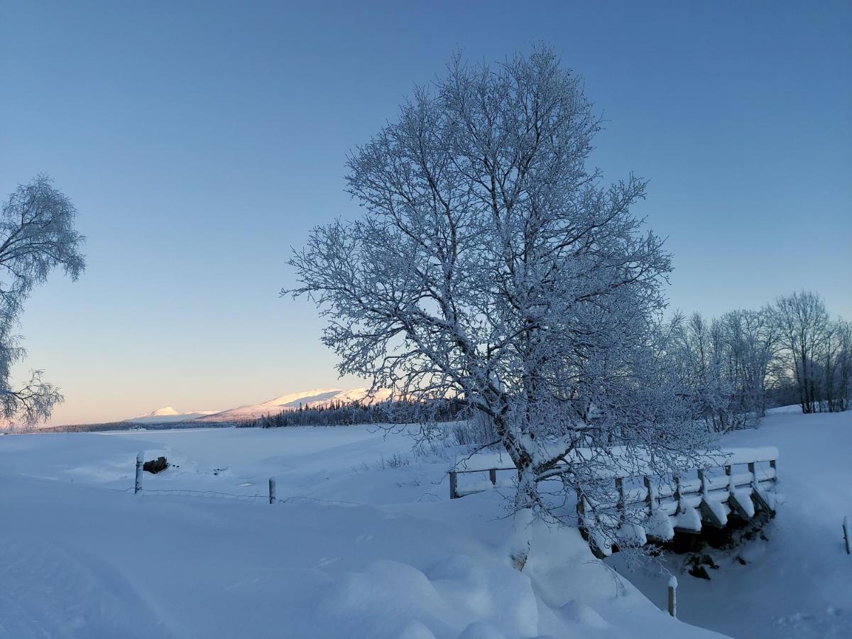 Villmarksgard Tommerstue Hattfjelldal エクステリア 写真