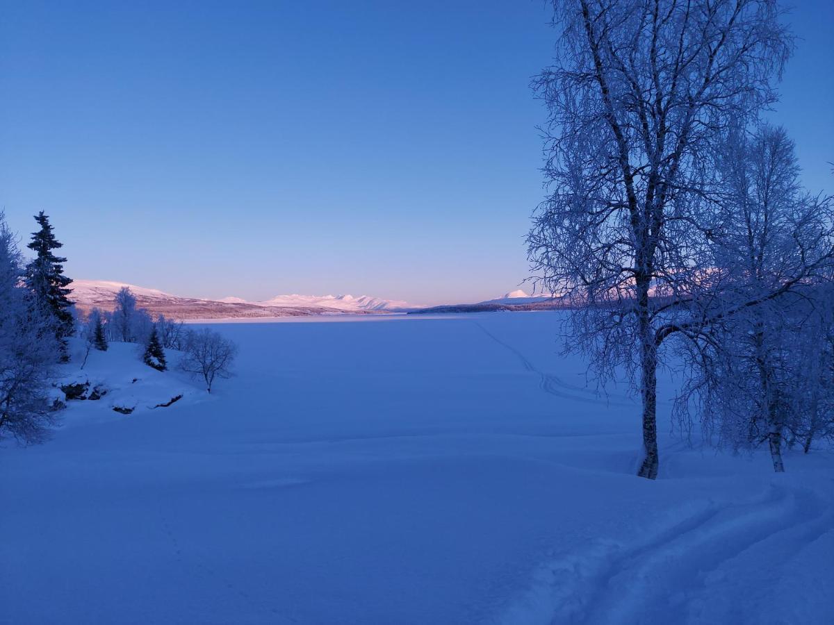Villmarksgard Tommerstue Hattfjelldal エクステリア 写真