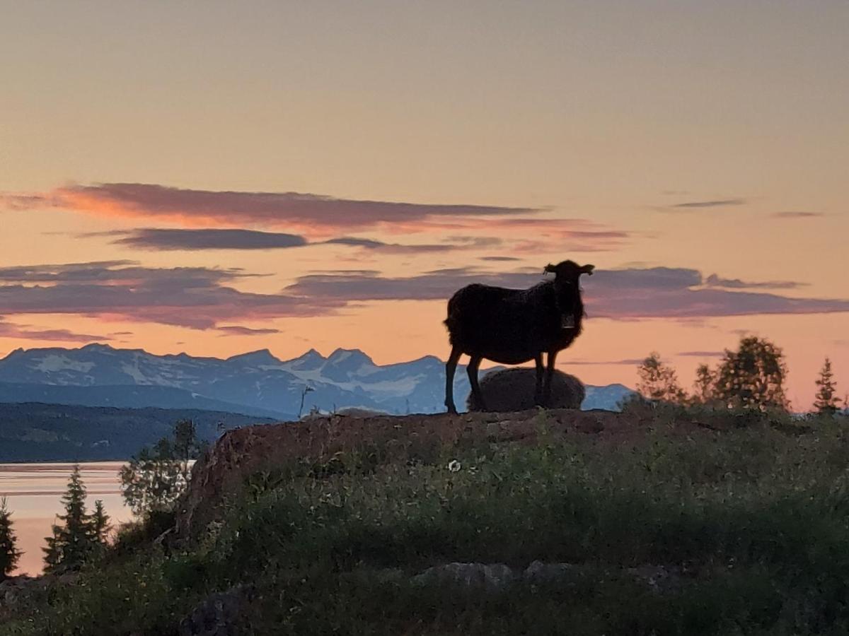 Villmarksgard Tommerstue Hattfjelldal エクステリア 写真
