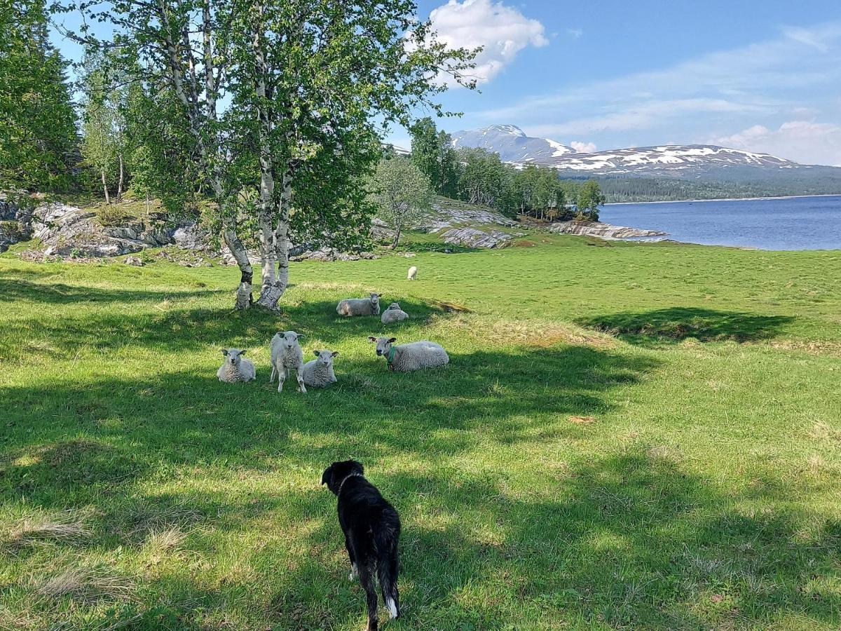 Villmarksgard Tommerstue Hattfjelldal エクステリア 写真